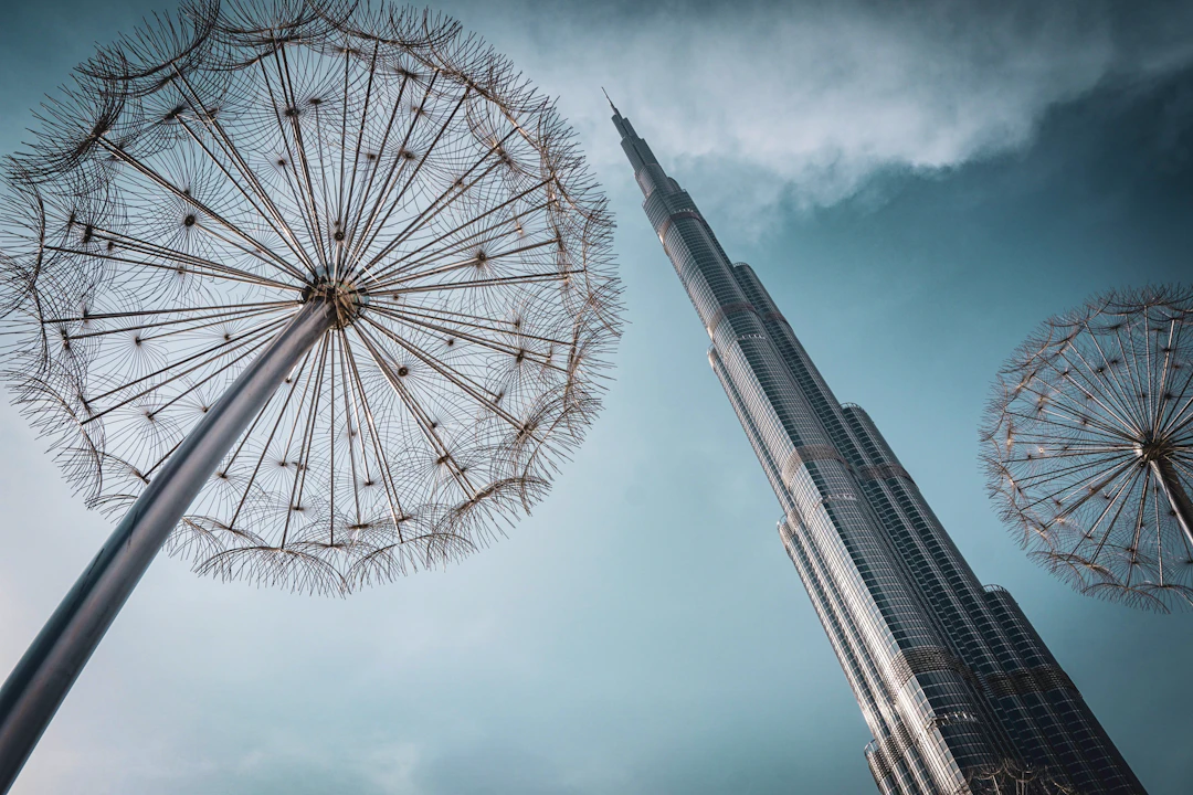 SNAPSHOT tour of Dubai Price